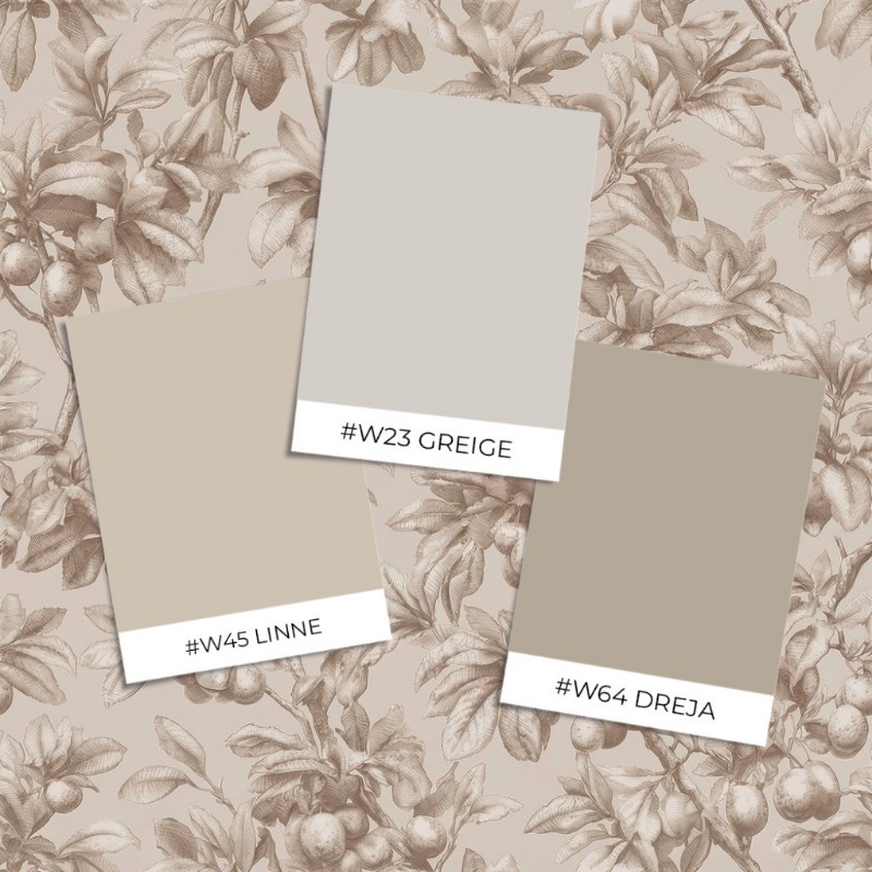 Image de Modèle d'échantillon - Esaias Brown - 1105101-02