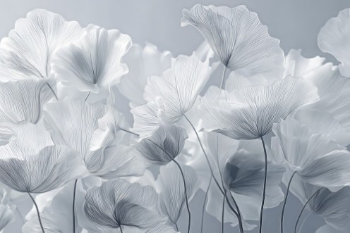 Kép Soft White Flowers I