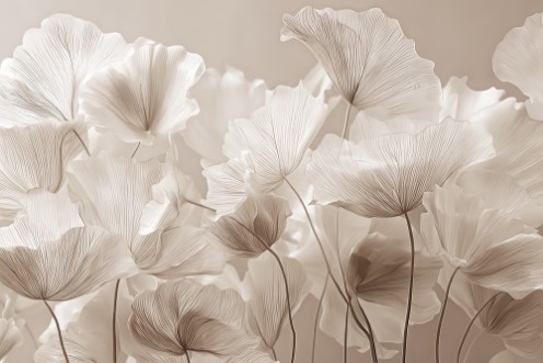 Obrázok z Soft White Flowers II