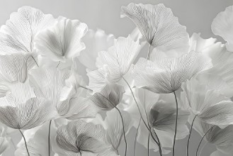 Kép Soft White Flowers III