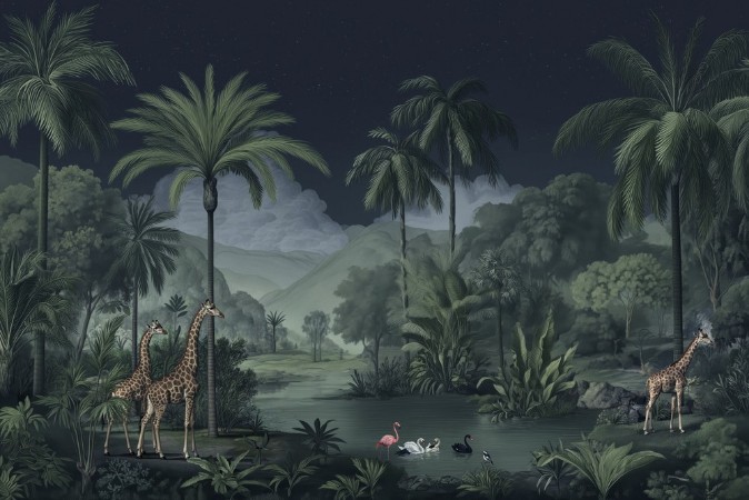 Image de Night in the Jungle II