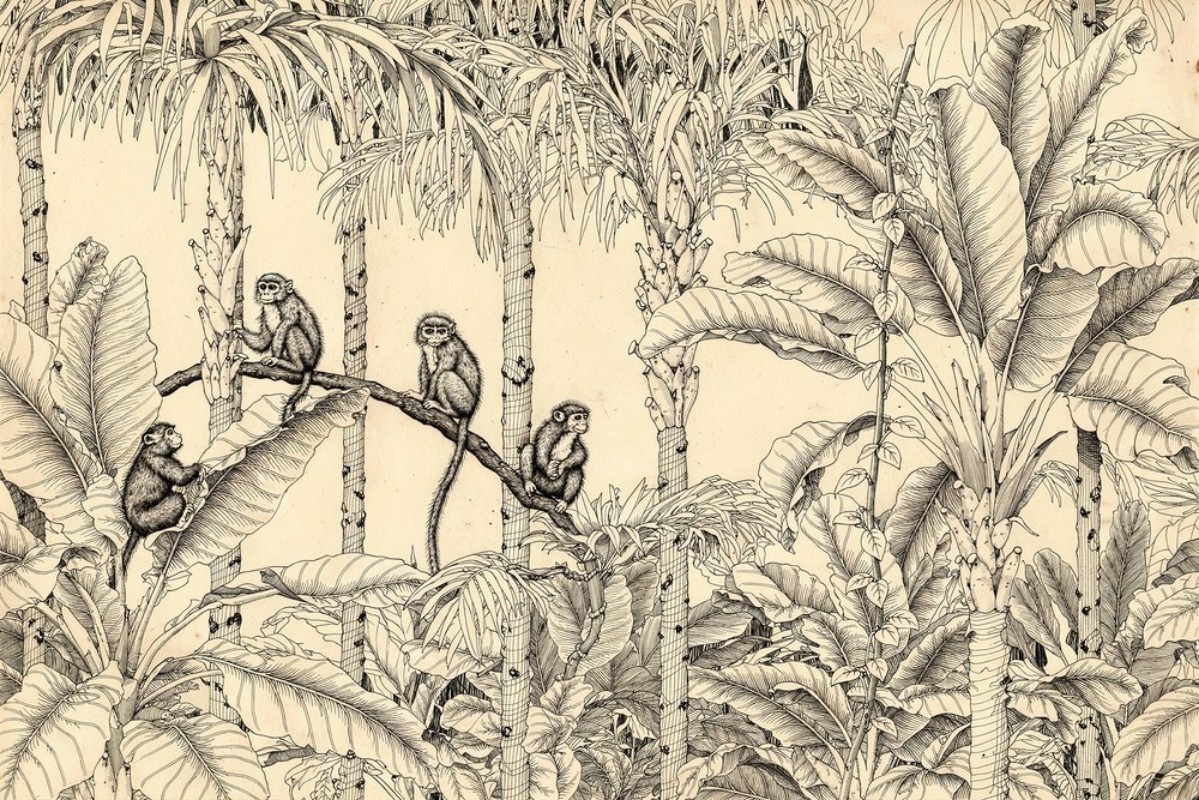 Poza cu Monkey Party I