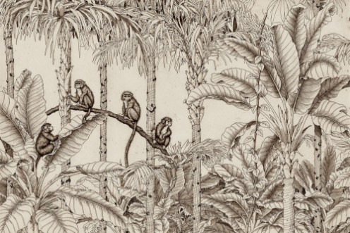 Afbeeldingen van Monkey Party II