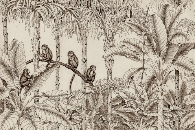 Image de Monkey Party II