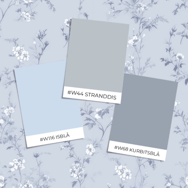 Image de Coloration Lottie Blue - 1009202-04 - 09235-01