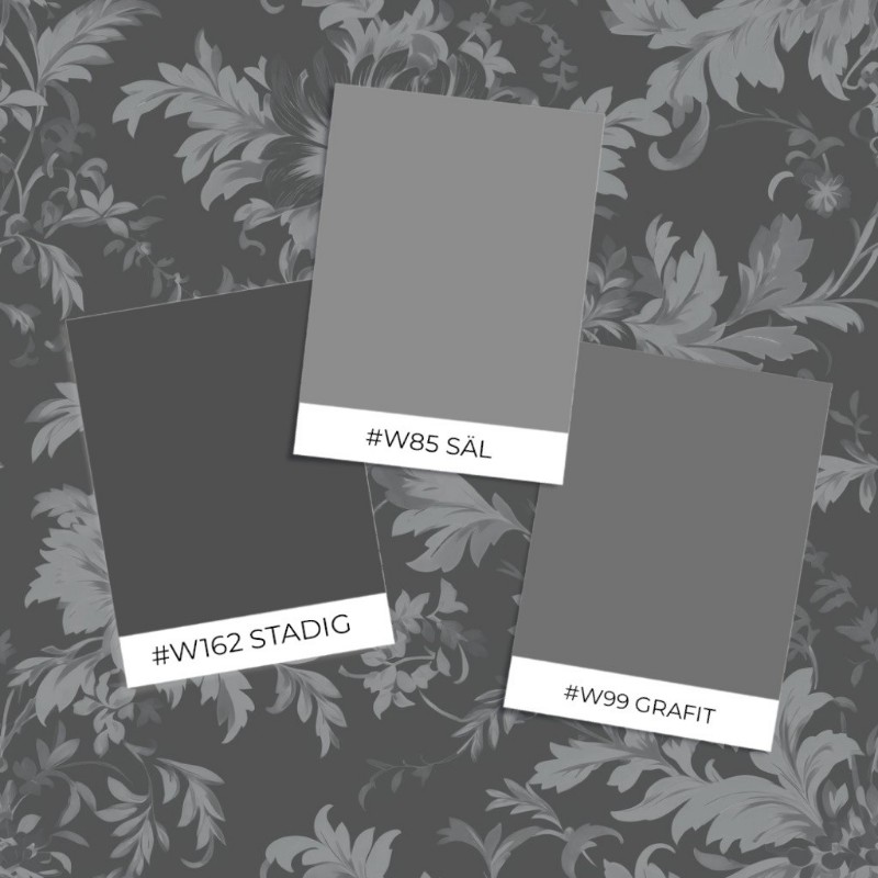 Ritratt ta’ Alba Dark Grey - 1014701-10