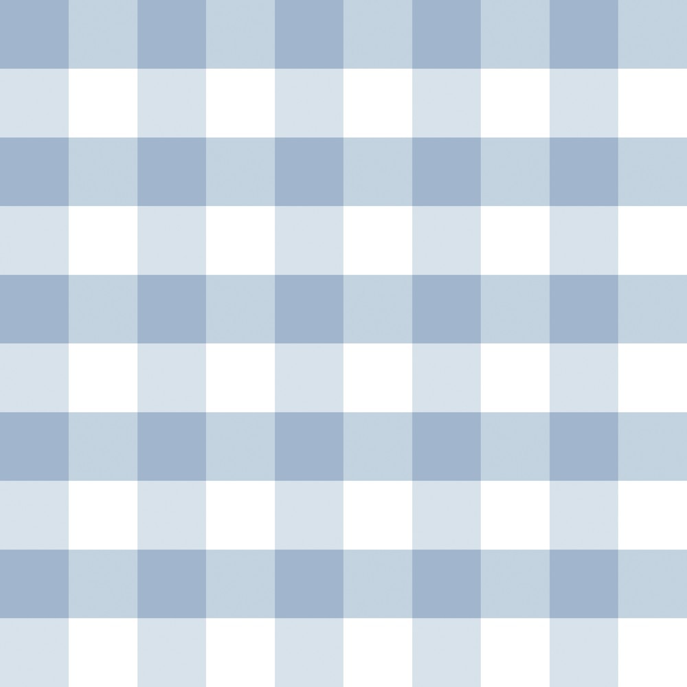 Picture of Checkered Denim Blue - 1031901-12