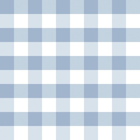 Picture of Checkered Denim Blue - 1031901-12