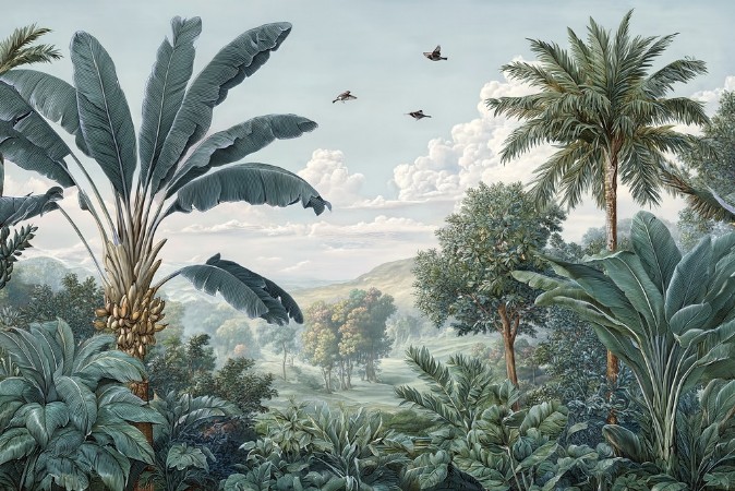 Image de Kalahari II