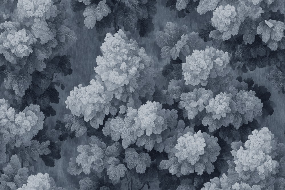 Image of 