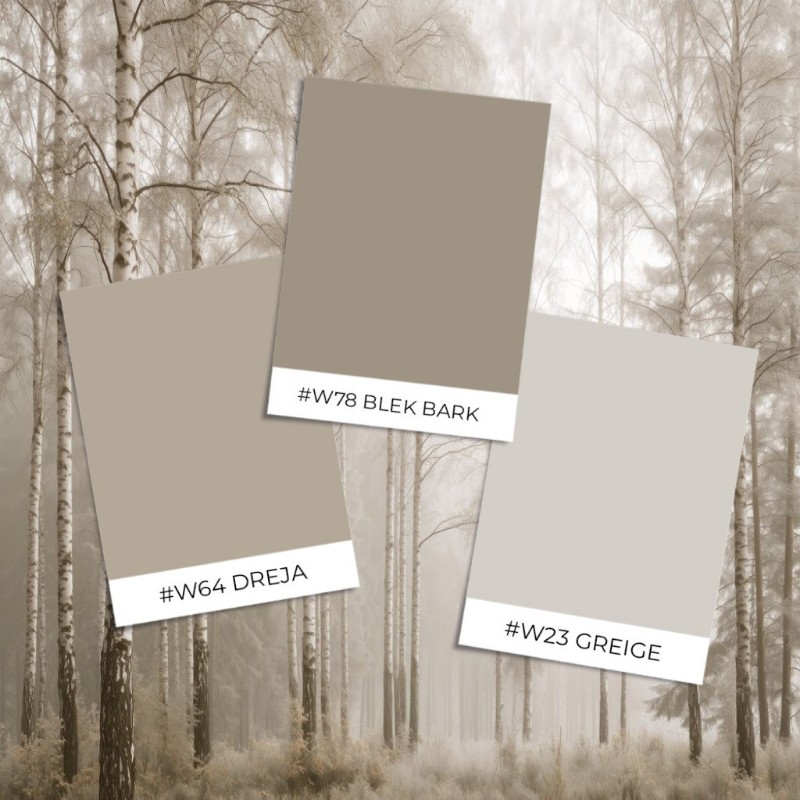 Image de Modèle d'échantillon - Sunlit Birches II