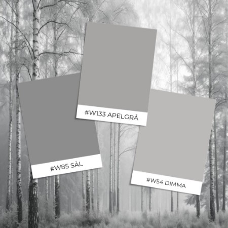 Ritratt ta’ Stil ta' eżempju - Sunlit Birches III