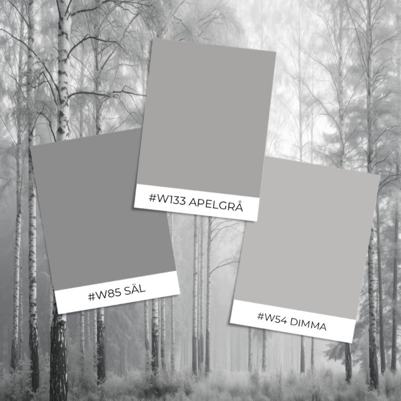 Picture of Värinäyte malli - Sunlit Birches III