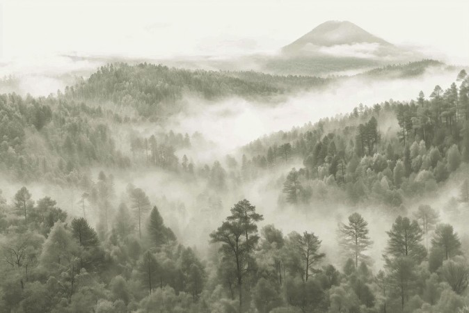 Image de Morning Mist Mountains I