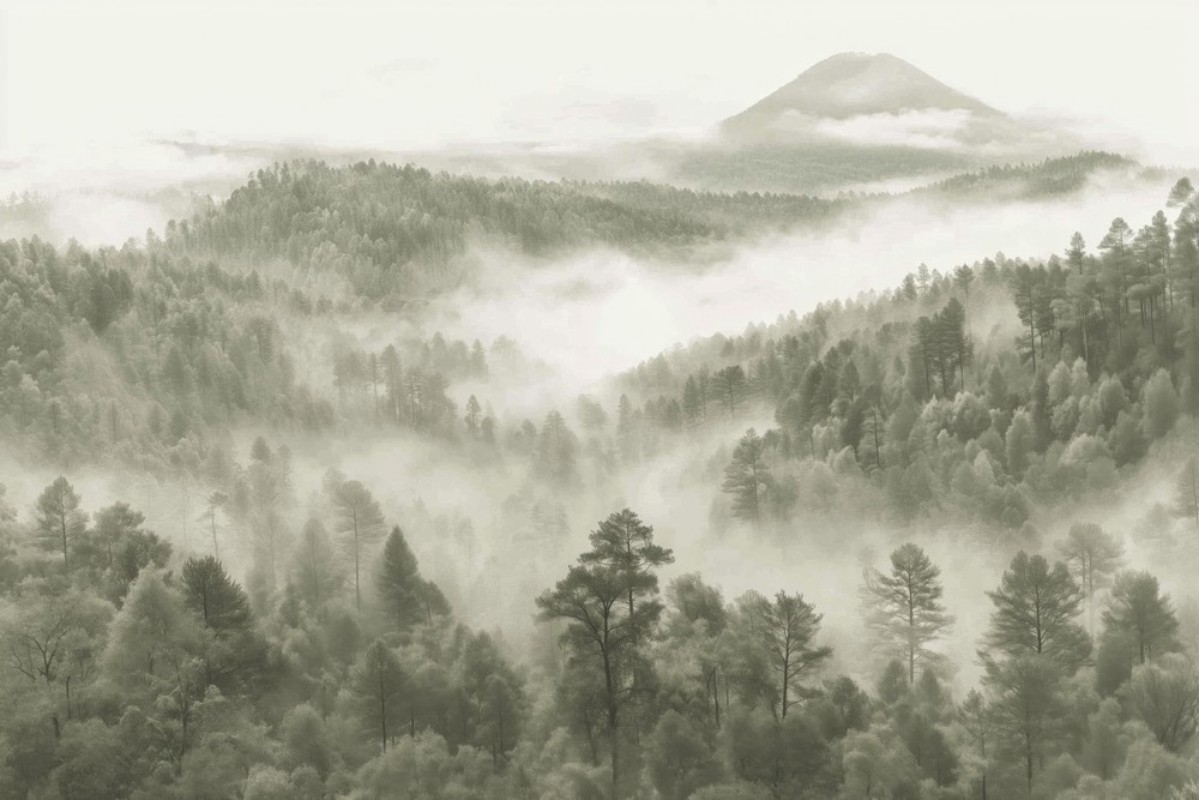 Picture of Morning Mist Mountains I