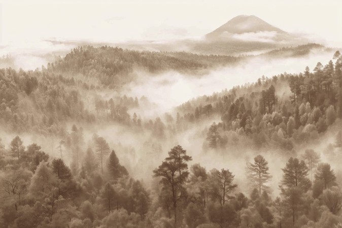 Picture of Morning Mist Mountains II