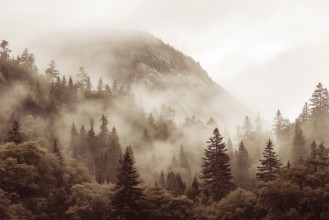 Image de Mystic Highlands II