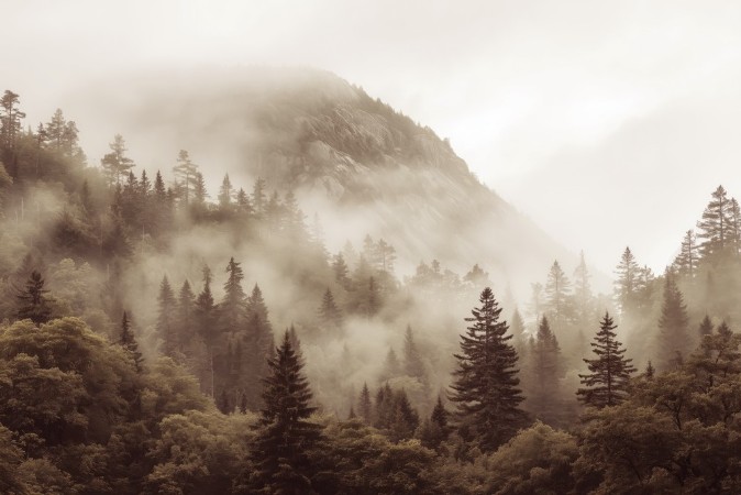 Image de Mystic Highlands II