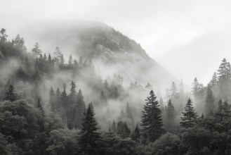 Bild på Mystic Highlands III