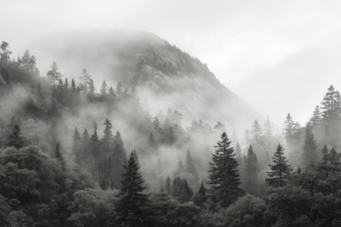 Bild på Mystic Highlands III