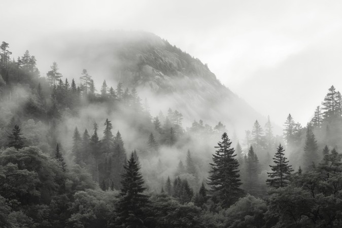 Bild på Färgsättning Mystic Highlands III - 09575-01