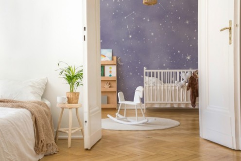 Picture of Night Sky I