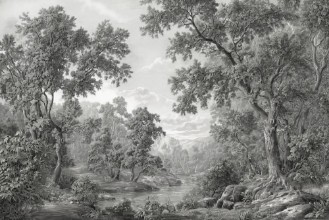 Picture of Fantasy Forest III