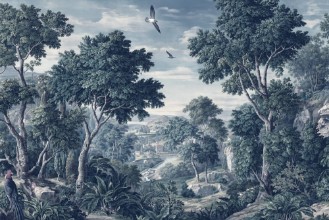 Image de Fantasia II