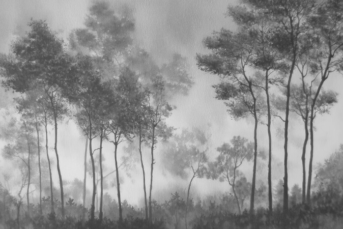 Image de Wind in the Trees I