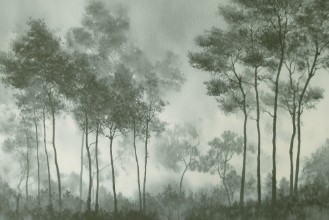 Image de Wind in the Trees III