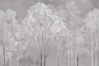 Image de Cold Morning I