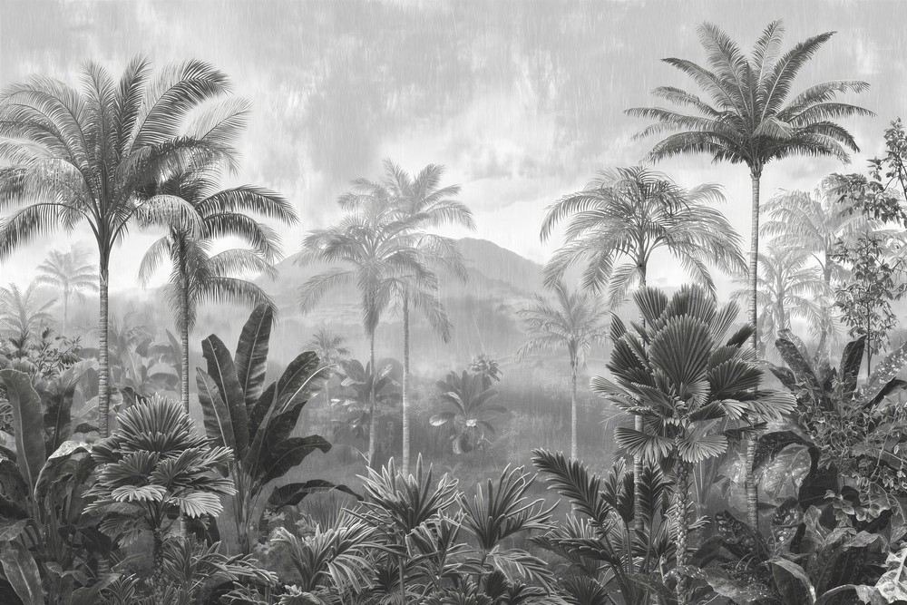 Image de Jungle Rain II