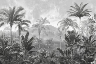 Image de Jungle Rain II