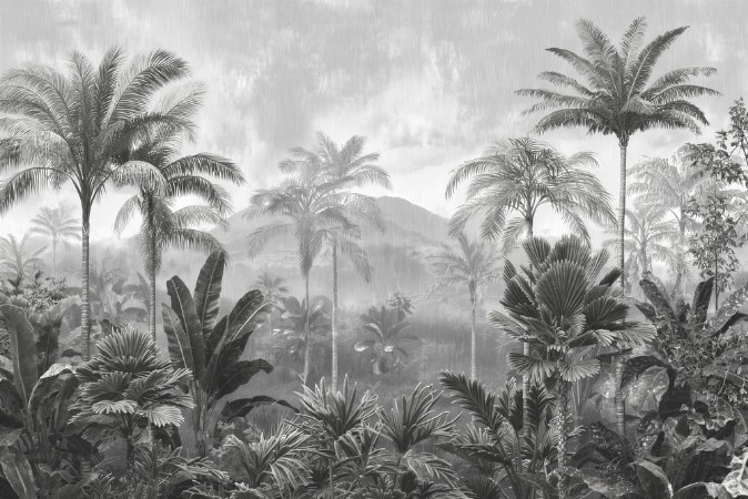 Image de Jungle Rain II