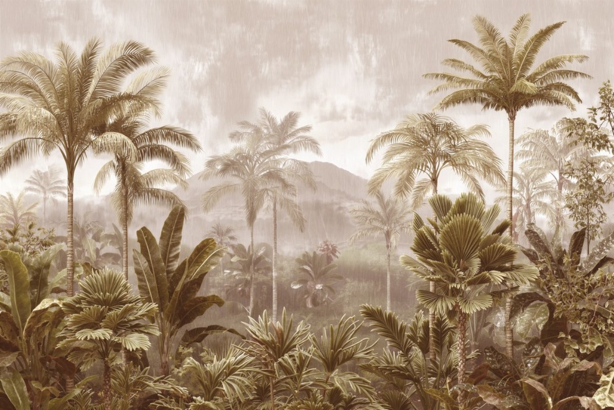 Image de Jungle Rain III