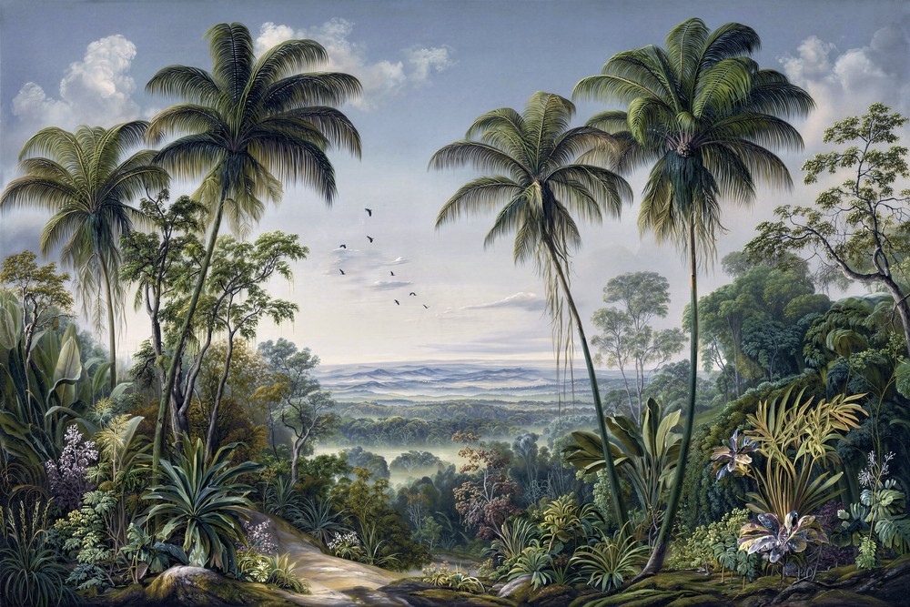 Image de Tropic Landscape III