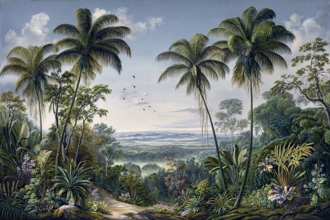 Image de Tropic Landscape III