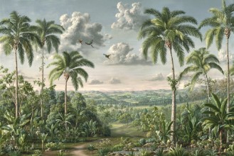 Image de Tropic Fantasy III