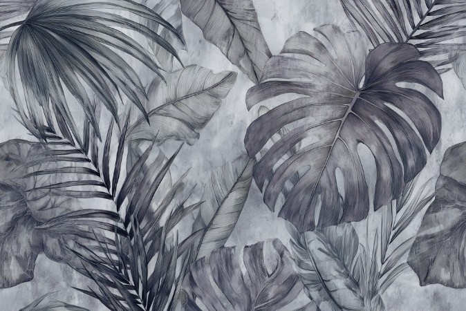 Picture of Jungle Leaves II