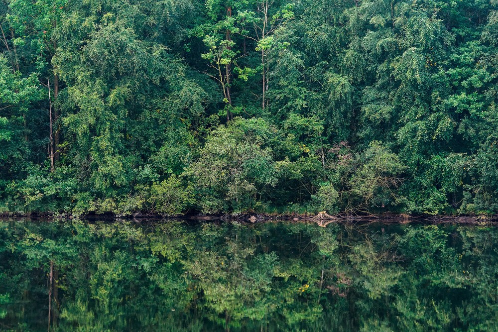 Marie Mattsson Sommarreflektion wallpaper Boråstapeter