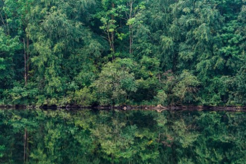 Marie Mattsson Sommarreflektion wallpaper Boråstapeter