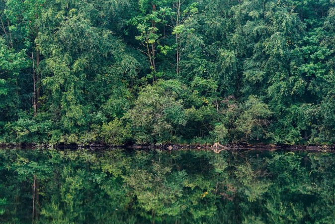 Marie Mattsson Sommarreflektion wallpaper Boråstapeter