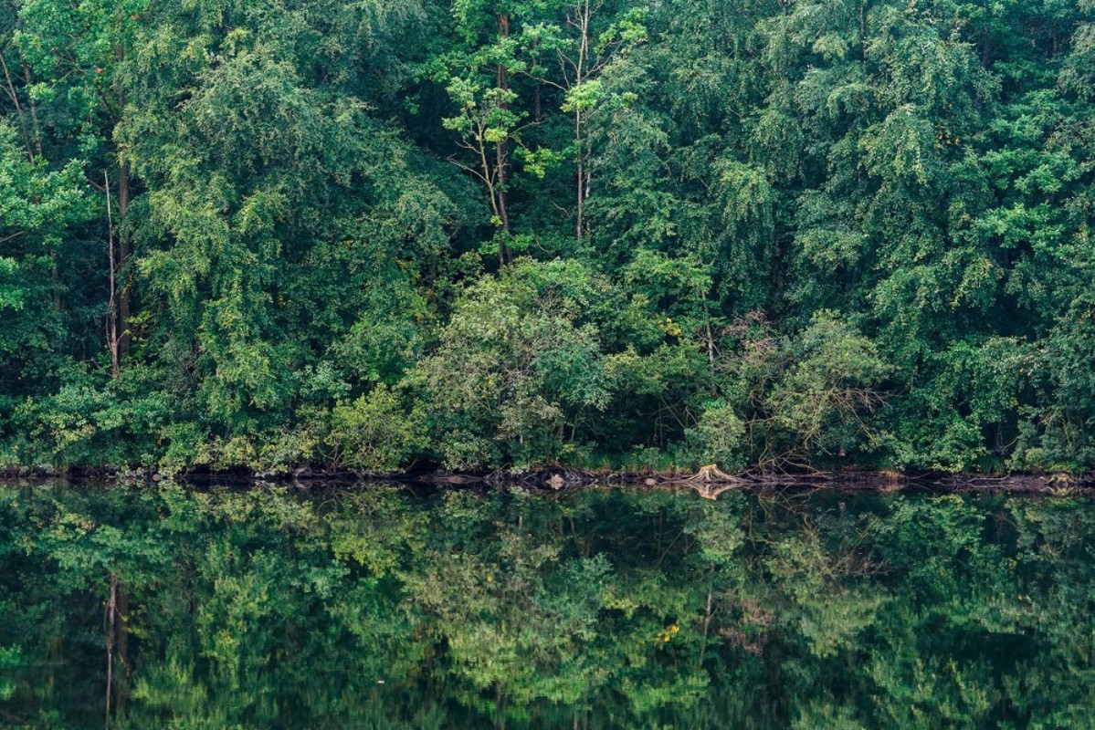 Marie Mattsson Sommarreflektion wallpaper Boråstapeter