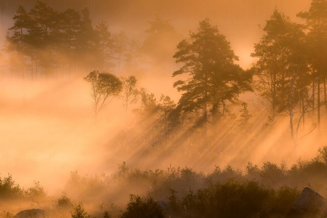 Marie Mattsson Dimsol wallpaper Boråstapeter