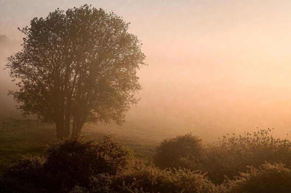 Marie Mattsson Kultmarken wallpaper Boråstapeter