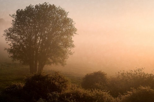 Marie Mattsson Kultmarken wallpaper Boråstapeter