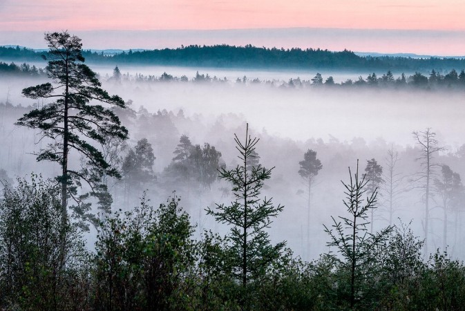 Marie Mattsson Blå Timmen wallpaper Boråstapeter