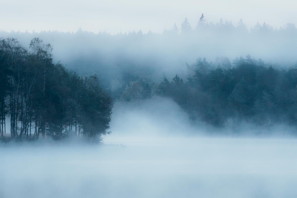 Marie Mattsson Delsjön wallpaper Boråstapeter