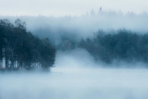 Marie Mattsson Delsjön wallpaper Boråstapeter