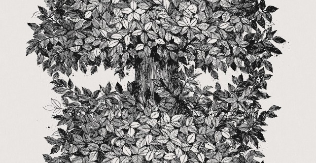 Viola Gråsten Hassel wallpaper Boråstapeter